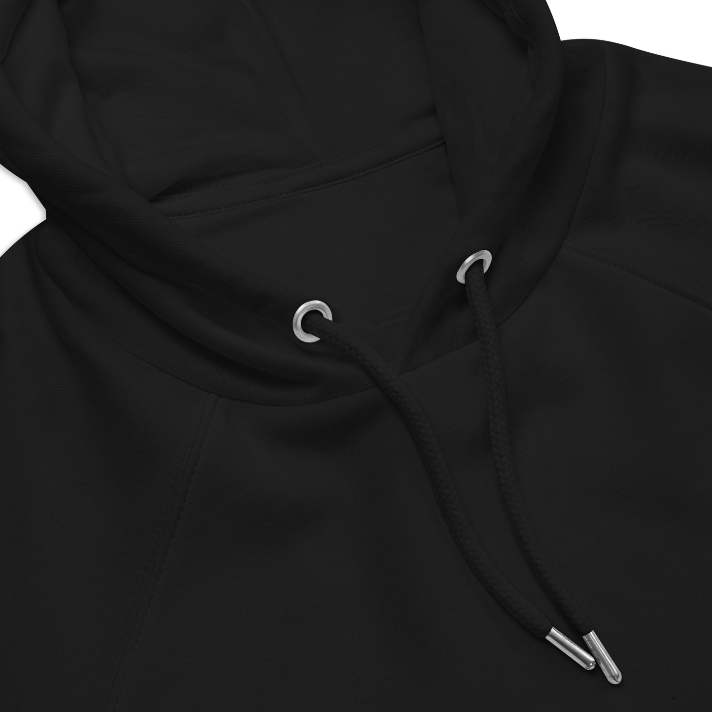 The "Faith Over Fear" Lion Hoodie